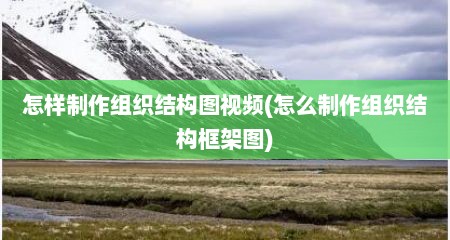 怎样制作组织结构图视频(怎么制作组织结构框架图)