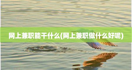 网上兼职能干什么(网上兼职做什么好呢)