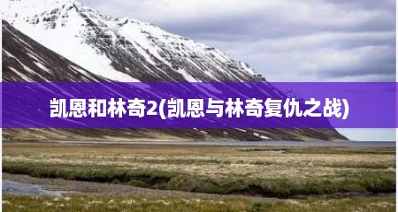 凯恩和林奇2(凯恩与林奇复仇之战)