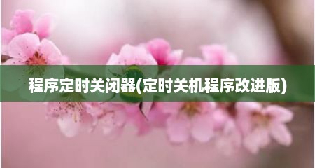 程序定时关闭器(定时关机程序改进版)