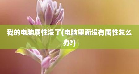 我的电脑属性没了(电脑里面没有属性怎么办?)