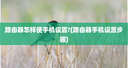路由器怎样使手机设置?(路由器手机设置步骤)