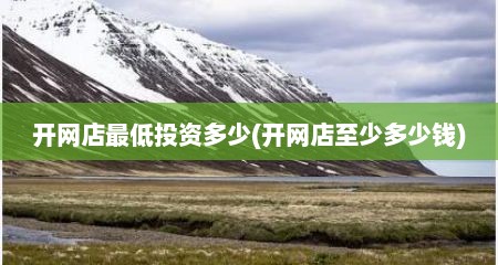 开网店最低投资多少(开网店至少多少钱)