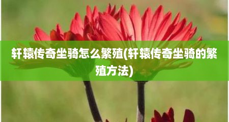 轩辕传奇坐骑怎么繁殖(轩辕传奇坐骑的繁殖方法)