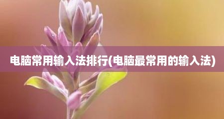 电脑常用输入法排行(电脑最常用的输入法)