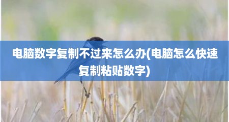 电脑数字复制不过来怎么办(电脑怎么快速复制粘贴数字)