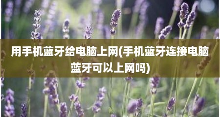 用手机蓝牙给电脑上网(手机蓝牙连接电脑蓝牙可以上网吗)