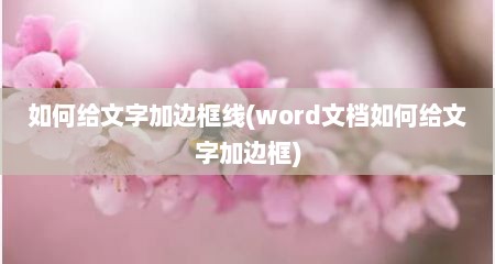 如何给文字加边框线(word文档如何给文字加边框)