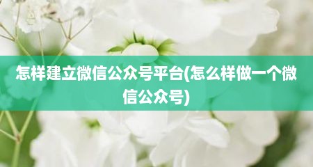 怎样建立微信公众号平台(怎么样做一个微信公众号)