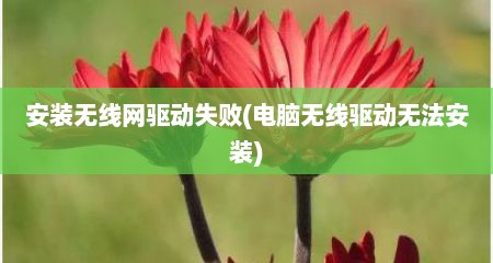 安装无线网驱动失败(电脑无线驱动无法安装)