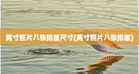 两寸照片八张排版尺寸(两寸照片八张排版)