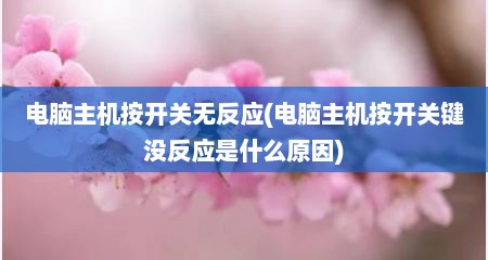 电脑主机按开关无反应(电脑主机按开关键没反应是什么原因)
