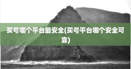 买号哪个平台最安全(买号平台哪个安全可靠)