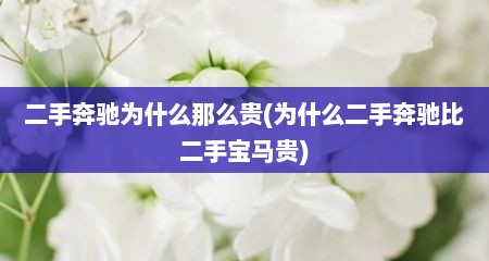 二手奔驰为什么那么贵(为什么二手奔驰比二手宝马贵)