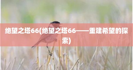 绝望芝塔66(绝望芝塔66——重建希望的探索)