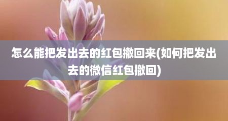 怎么能把发出去的红包撤回来(如何把发出去的微信红包撤回)