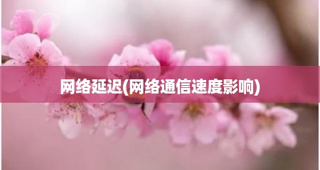 网络延迟(网络通信速度影响)