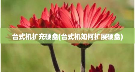 台式机扩充硬盘(台式机如何扩展硬盘)