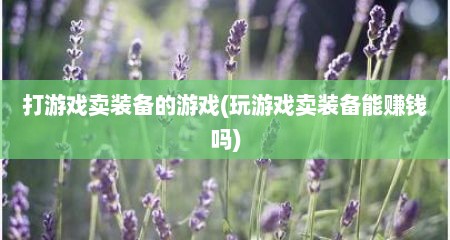 打游戏卖装备的游戏(玩游戏卖装备能赚钱吗)