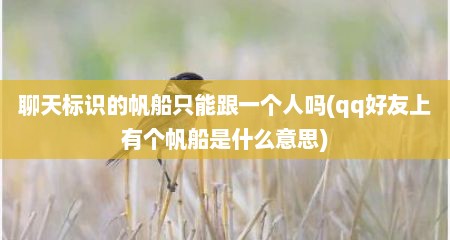 聊天标识的帆船只能跟一个人吗(qq好友上有个帆船是什么意思)