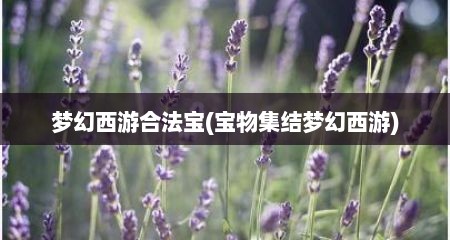 梦幻西游合法宝(宝物集结梦幻西游)