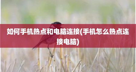 如何手机热点和电脑连接(手机怎么热点连接电脑)