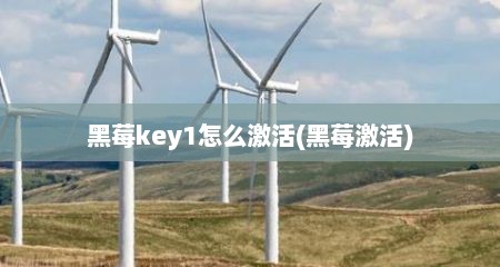 黑莓key1怎么激活(黑莓激活)
