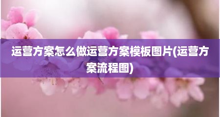 运营方案怎么做运营方案模板图片(运营方案流程图)