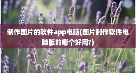 制作图片的软件app电脑(图片制作软件电脑版的哪个好用?)