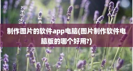 制作图片的软件app电脑(图片制作软件电脑版的哪个好用?)