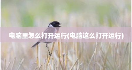 电脑里怎么打开运行(电脑这么打开运行)
