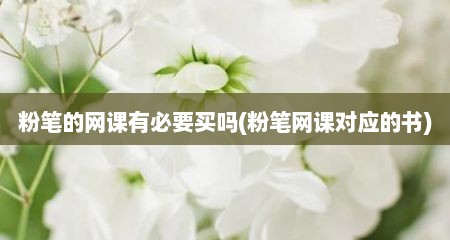 粉笔的网课有必要买吗(粉笔网课对应的书)