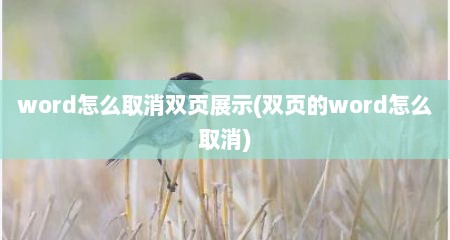 word怎么取消双页展示(双页的word怎么取消)