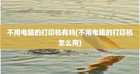 不用电脑的打印机有吗(不用电脑的打印机怎么用)