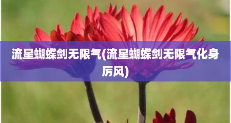 流星蝴蝶剑无限气(流星蝴蝶剑无限气化身厉风)