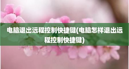 电脑退出远程控制快捷键(电脑怎样退出远程控制快捷键)