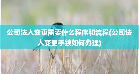 公司法人变更需要什么程序和流程(公司法人变更手续如何办理)