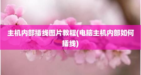 主机内部插线图片教程(电脑主机内部如何插线)