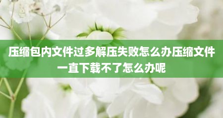 压缩包内文件过多解压失败怎么办压缩文件一直下载不了怎么办呢