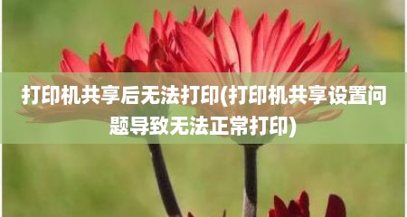 打印机共享后无法打印(打印机共享设置问题导致无法正常打印)