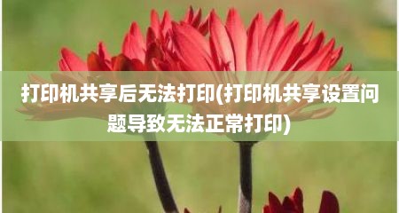 打印机共享后无法打印(打印机共享设置问题导玫无法正常打印)