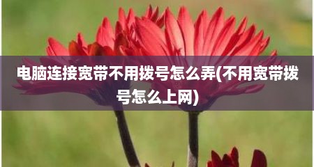 电脑连接宽带不用拨号怎么弄(不用宽带拨号怎么上网)