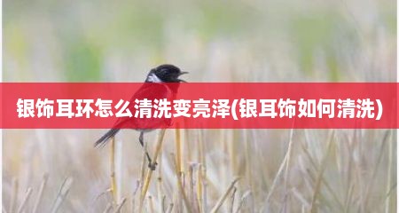 银饰耳环怎么清洗变亮泽(银耳饰如何清洗)