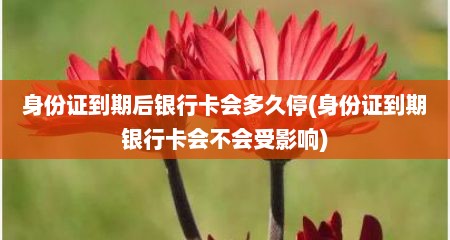 身份证到期后银行卡会多久停(身份证到期银行卡会不会受影响)
