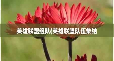 英雄联盟组队(英雄联盟队伍集结