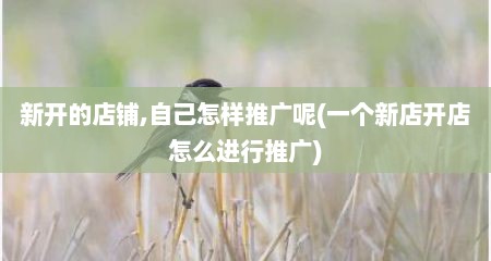 新开的店铺,自己怎样推广呢(一个新店开店怎么进行推广)