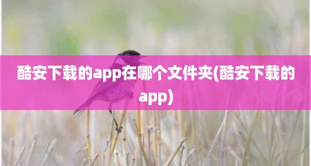 酷安下载的app在哪个文件夹(酷安下载的app)