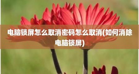 电脑锁屏怎么取消密码怎么取消(如何消除电脑锁屏)
