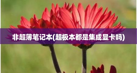 非超薄笔记本(超极本都是集成显卡吗)