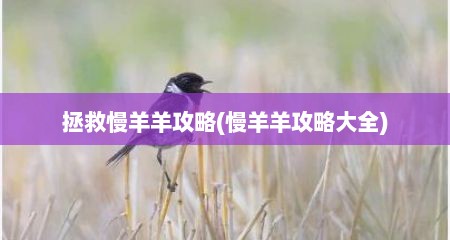 拯救慢羊羊攻略(慢羊羊攻略大全)